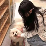 百度洪荒之力手游下载